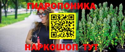 ешки Краснознаменск