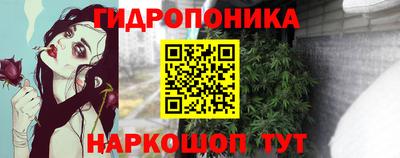 ПСИЛОЦИБИНОВЫЕ ГРИБЫ Краснодар