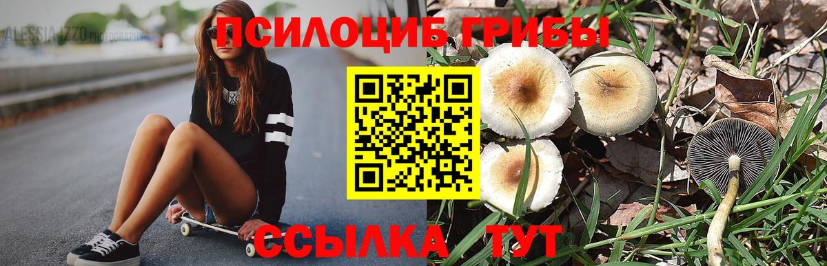 Галлюциногенные грибы GOLDEN TEACHER  Вход с VPN  Галлюциногенные грибы MAGIC MUSHROOMS  Калуга 